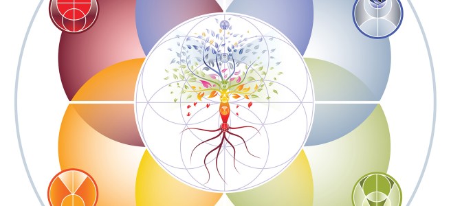 Energy Center Illumination. Tree of Light within Aligned with Life.