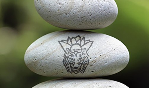 Creativity Coaching. Healing medallions. Chakra medallions. Graphic design.