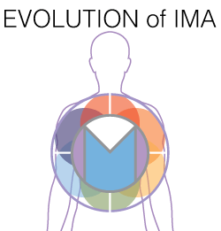 How the Intuitive Wellness Energy works