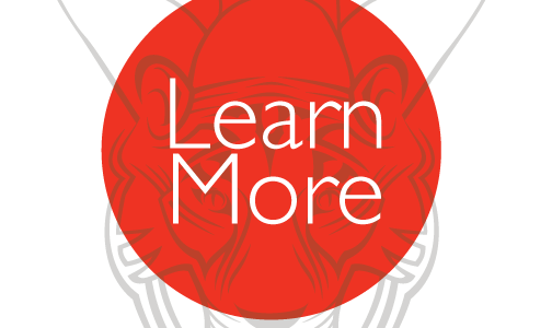 LilyTiger Intuitive Reiki Energy Work and Graphic Design