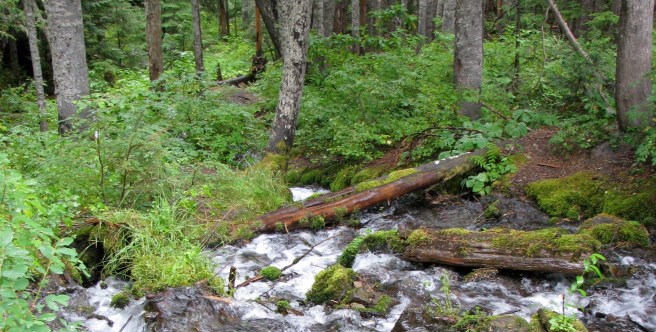 Mt Hood Timberline Rd waterfall 3b.jpg